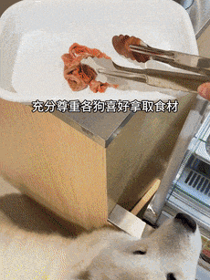 狗麻辣烫25一斤全是真肉上海狗有福了！pg电子模拟器免费版破防了！上海惊现狗(图4)