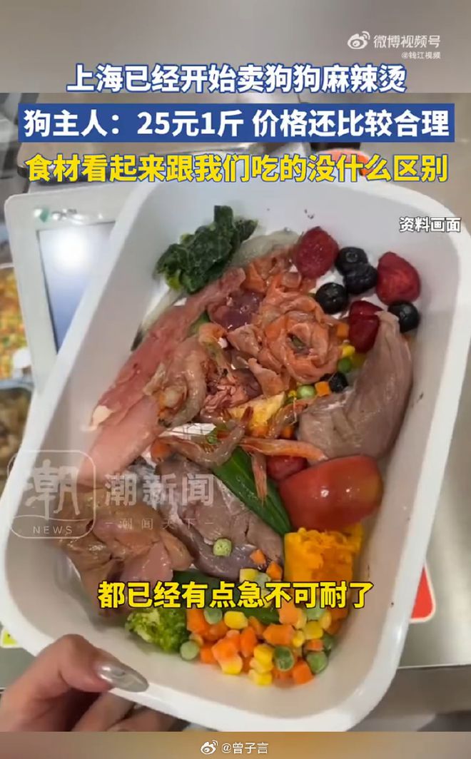 狗麻辣烫25一斤全是真肉上海狗有福了！pg电子模拟器免费版破防了！上海惊现狗(图8)