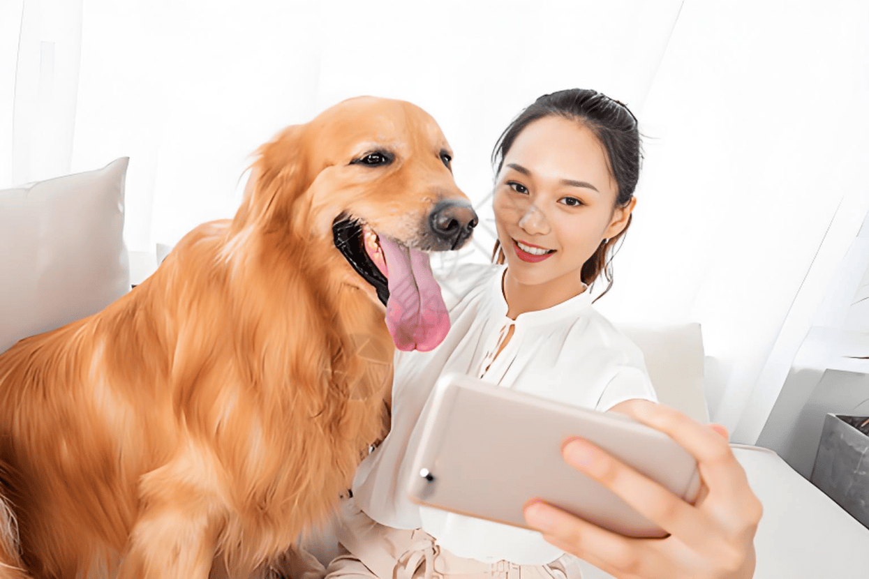 产业链分析：现状、痛点、需求、趋势pg电子免费试玩模拟器宠物食品行业