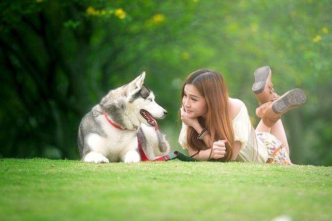 产业链分析：现状、痛点、需求、趋势pg电子免费试玩模拟器宠物食品行业(图2)