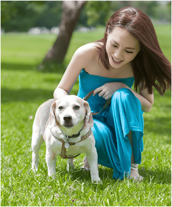 产业链分析：现状、痛点、需求、趋势pg电子免费试玩模拟器宠物食品行业(图3)