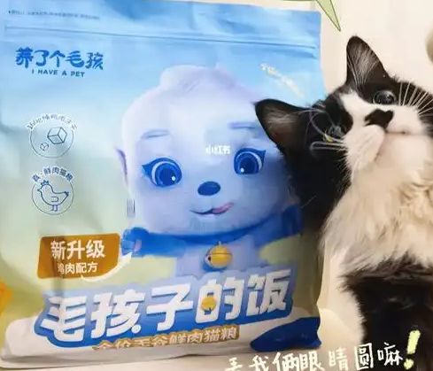 粮！三只松鼠靠什么重返宠物食品赛道pg电