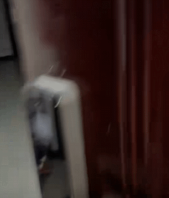 关门瞥见失落眼神打工人破防忆童年！pg电子中文模拟器扔玩具支开爱犬(图5)