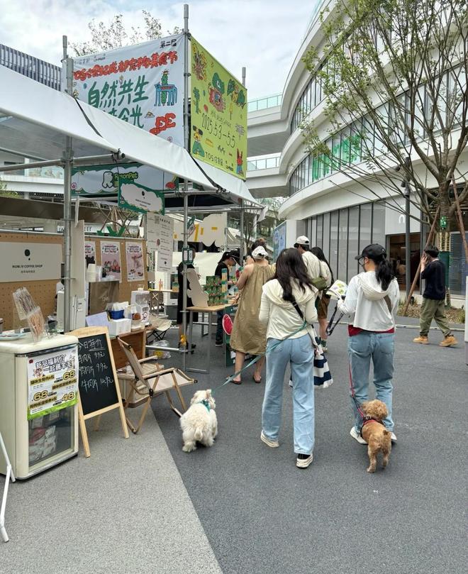 成都宠物消费、低空等体验式新场景爆火pg电子模拟器“五一”消费引力场③丨(图3)