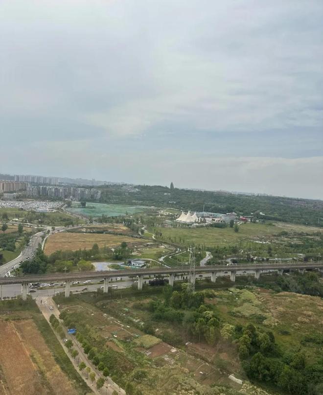 成都宠物消费、低空等体验式新场景爆火pg电子模拟器“五一”消费引力场③丨(图4)
