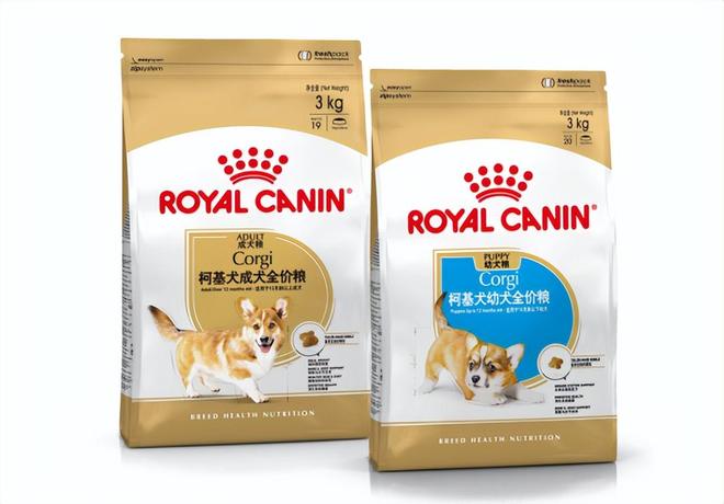 年：营养守护犬猫健康 构建宠物生态新未来