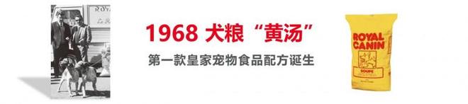 年：营养守护犬猫健康 构建宠物生态新未来pg模拟器电脑版皇家宠物食品中国三十周(图12)