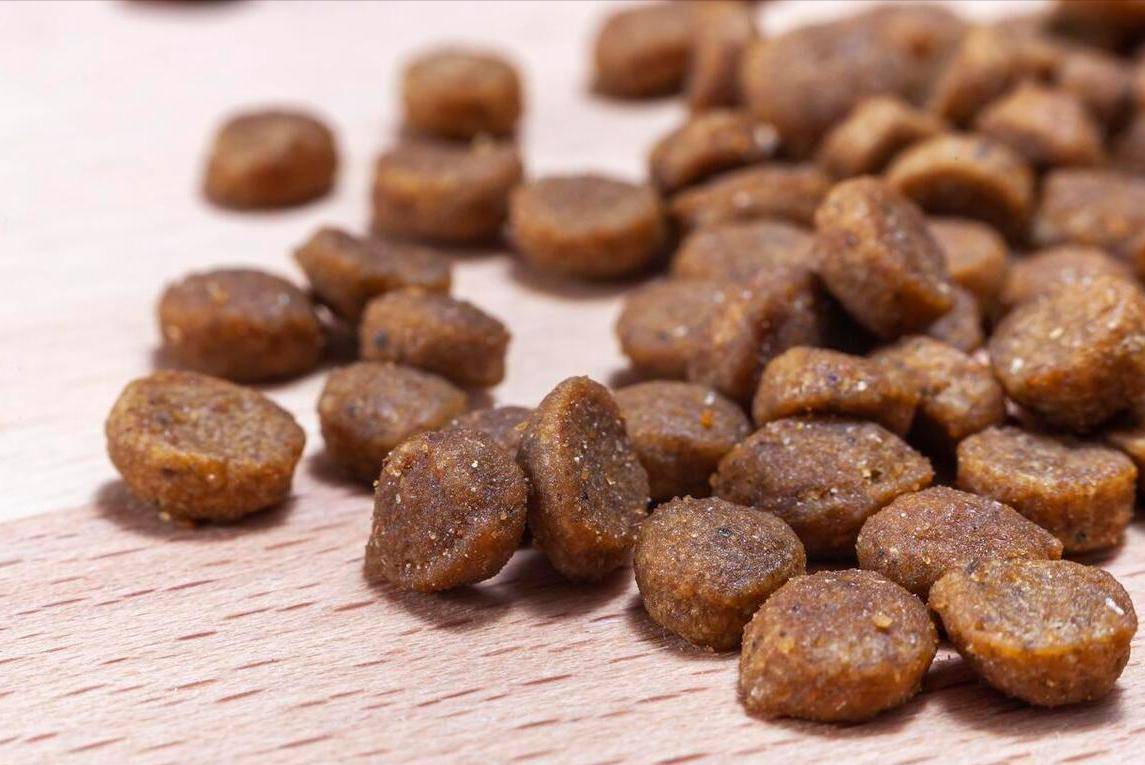 什么狗粮?性价比排行榜单来了pg电子中文模拟器边牧适合吃(图10) 什么狗粮?性价比排行榜单来了pg电子中文模拟器边牧适合吃(图10)