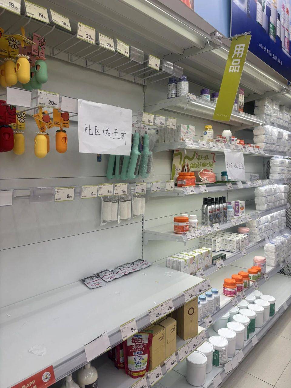 马创始人宠物项目败走线家店全线关闭电子pg游戏9个月烧光17